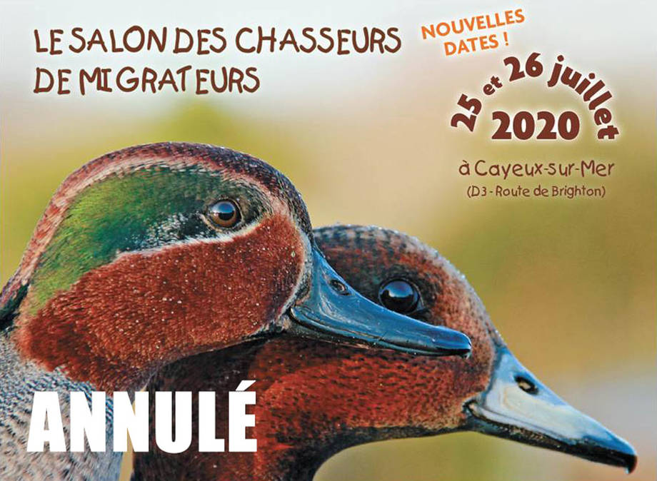 salon migrateurs 2020 annulé salon migrateurs 2020 annulé